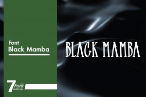 7 Font ยอดฮิต - Black Mamba Font